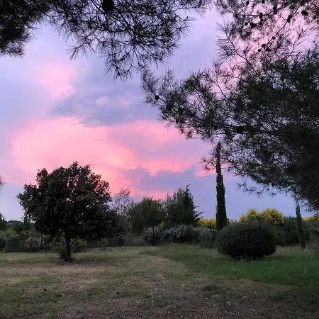 Modern With Private Pool