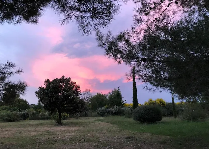 Modern With Private Pool